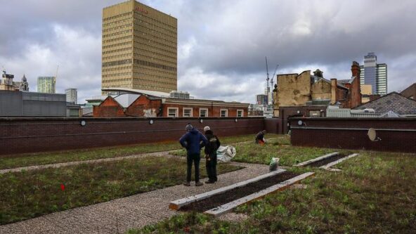 photo of the blue-green roof atop Bruntwood Works in Manchester, UK. KISTERS, Polypipe and STRI Group collaborated to store rain water, to prevent excess stormwater runoff and combined sewer overflows, and reuse the gray water to irrigate a rooftop garden | photo credit STRI Group