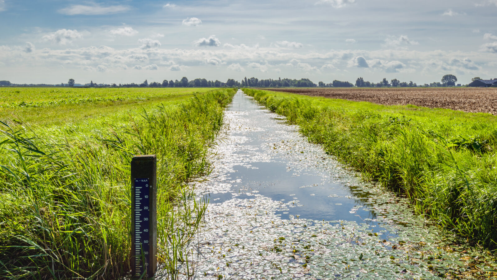 photo water level staff gauge in the drainage / irrigation ditch