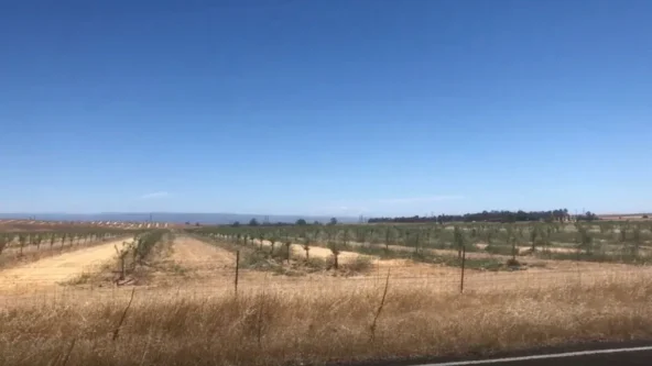 photo dry land and green orchards in Glenn County, California as drought worsens in June, 2021 | credit KRCR via KRCRTV.com