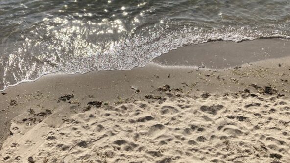 photo beach with dry and wet sand, due to ebbing wave | source Save the Sound