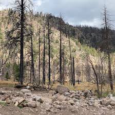 photo Museum Fire burn scar in Flagstaff, Arizona | source HECHOonline.org