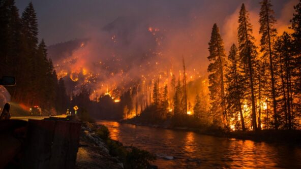 photo take during a wildfire, from left to right, unburnt sentinel trees, an emergency vehicle on a road along a river, and burning forest | source: GEIWorks.com