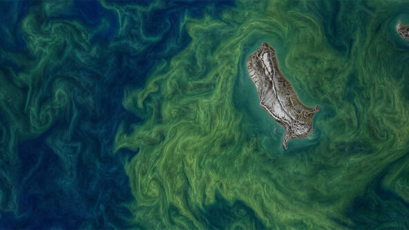 aerial photo of ocean salinity | source NASA salinity.oceansciences.org