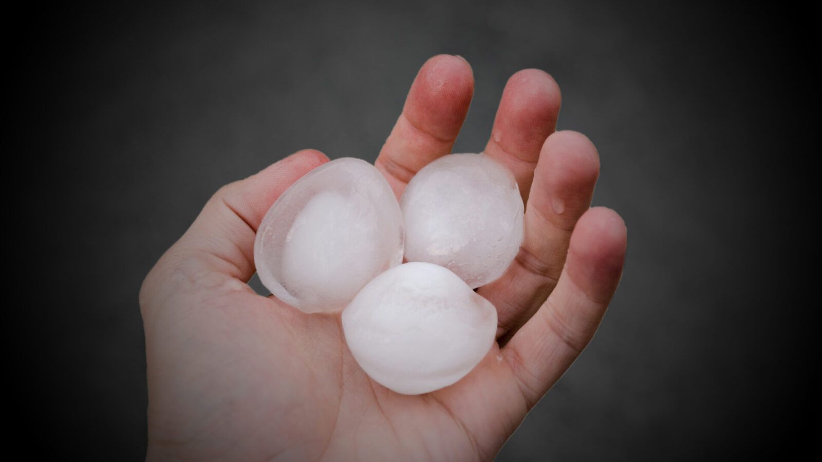photo of three hailstones in a person's hand