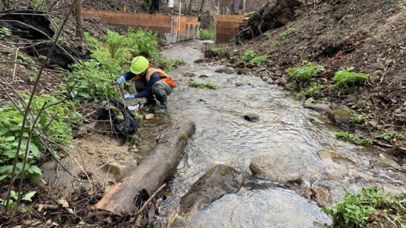 Sampling sediment following 2020 California wildfires 1/31/2021 Research geologist collects stream sediment samples in burned watersheds to measure concentrations of soil and water contaminants following runoff in 1/2021. | photo credit Amy East, USGS Pacific Coastal and Marine Science Center