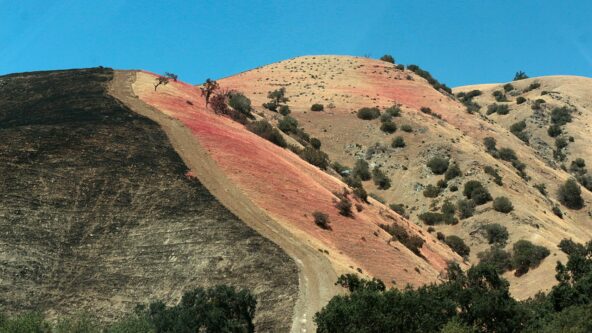 photo of pink fire retardant on Los Angeles County hillside, applied to contain Tumbleweed Fire in July, 2021 | credit wikipedia.org